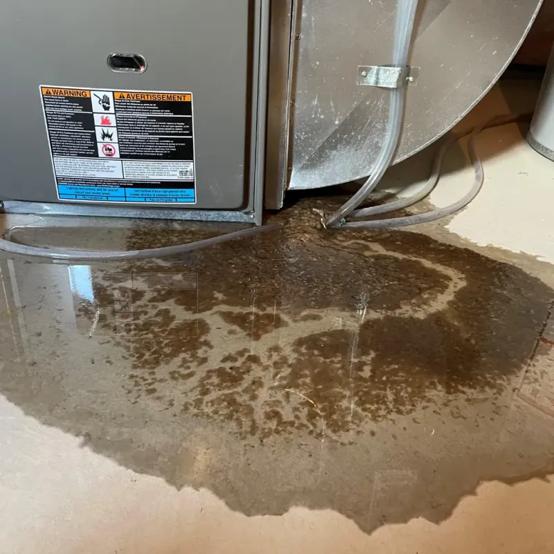 Appliance Leak Cleanup in San Benito County, CA